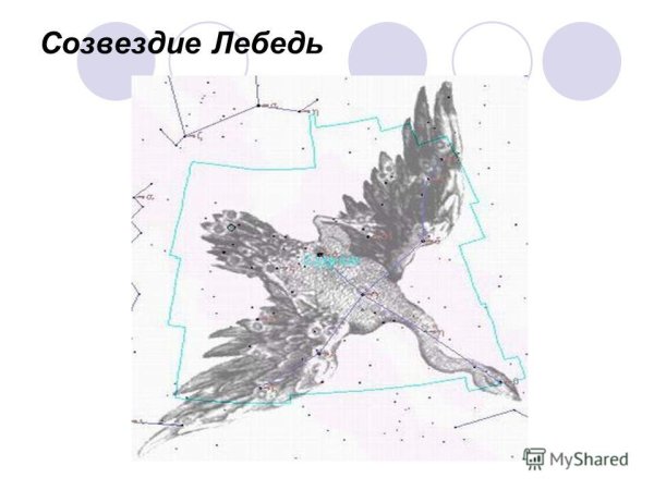 Изображение созвездия лебедь