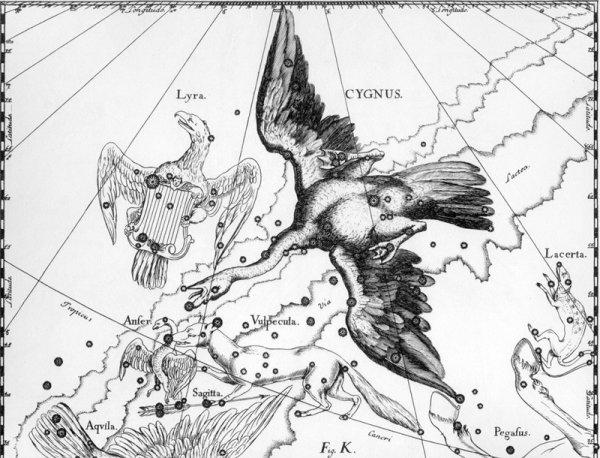 Ян гевелий атлас созвездий