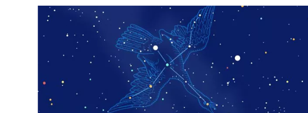 Созвездие лебедь для детей