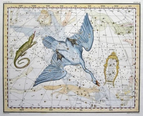 Птолемей Созвездие лебедя