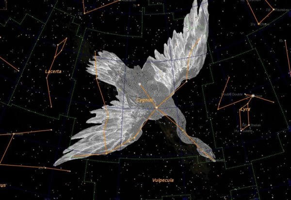 Астеризм созвездия лебедь