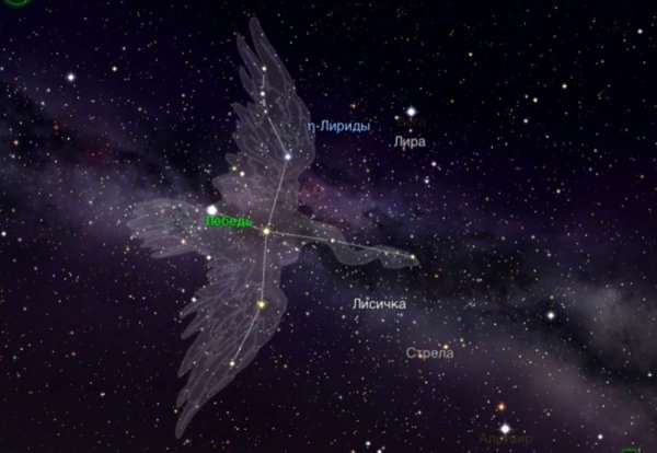 Созвездие лебедь Денеб