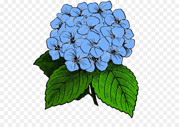 Kitipong Maksin акварель