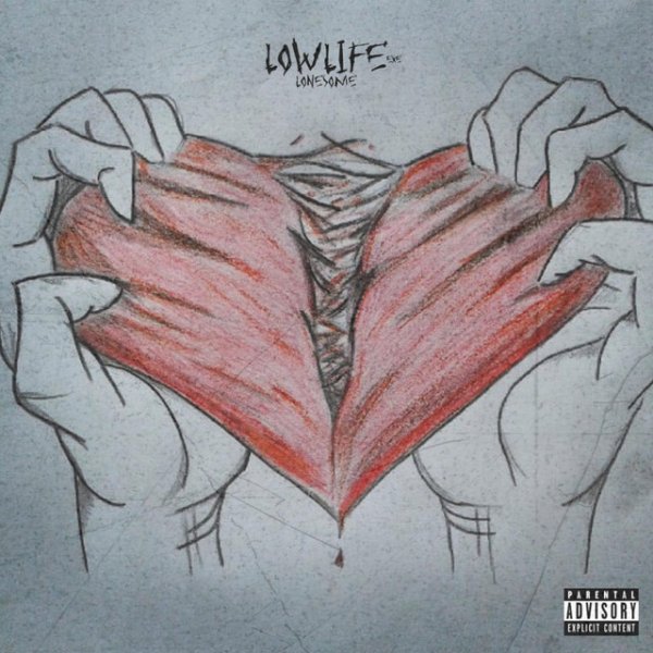 Рисунки для срисовки сердце легкие