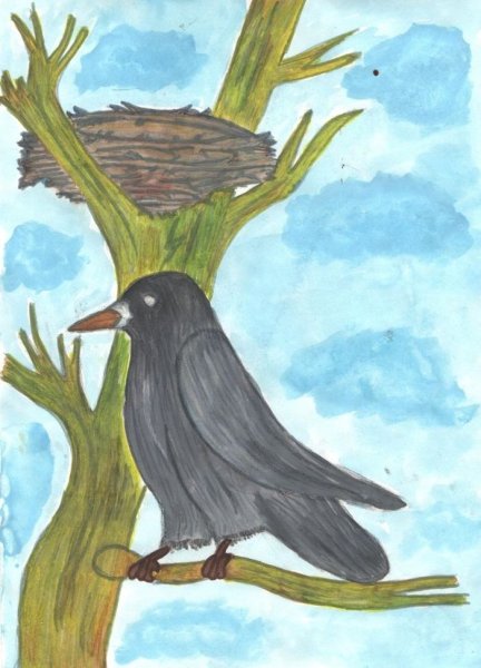 Грач для детей