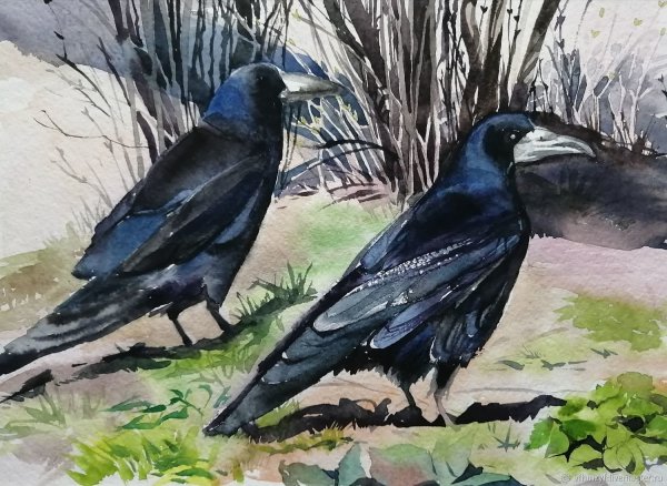 Рисование Грача