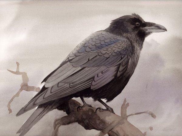 Нарисовать Грача