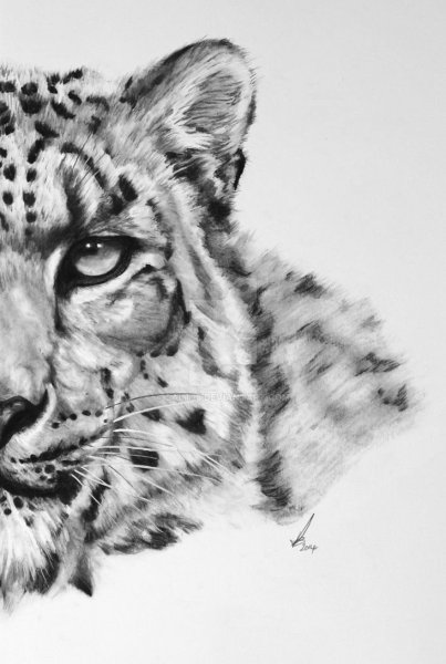 Тату снежный Барс эскизы