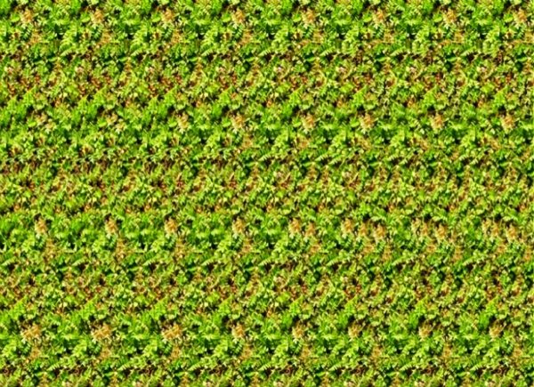 Стереограммы для зрения 2020