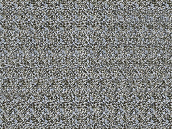 Стереокартинки животные