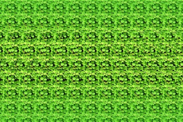 Кристофер Тайлер стереокартинки