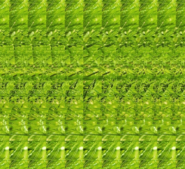 Стереограмма тигр