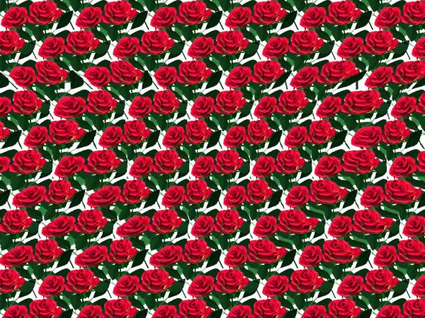 Стереограммы и стереокартинки