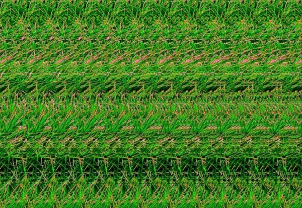 Стереограммы Хидден 3д