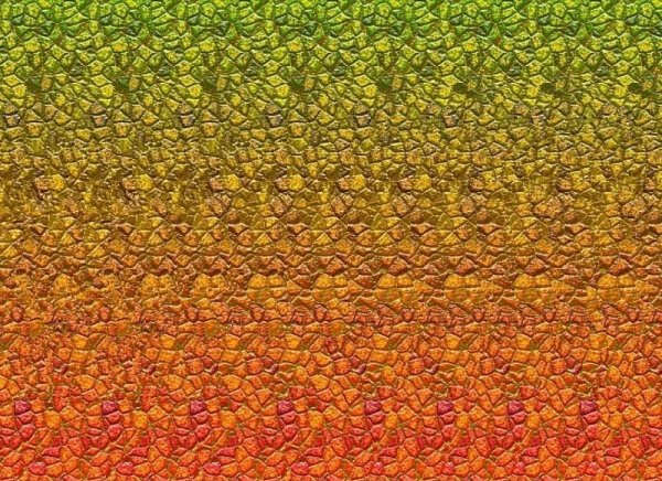 Стереограммы Хидден 3д