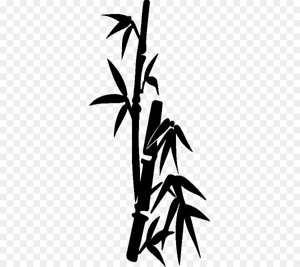 Ветка бамбука вектор