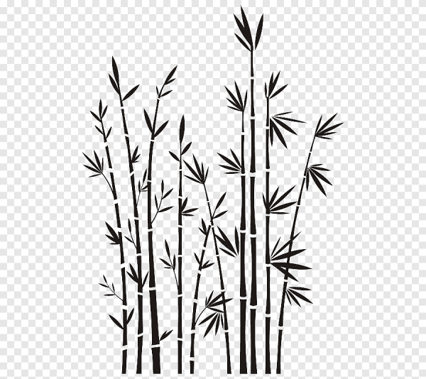 Ветка бамбука вектор