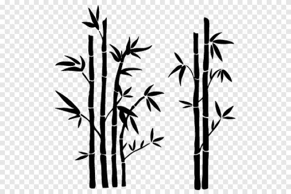 Векторное изображение бамбука