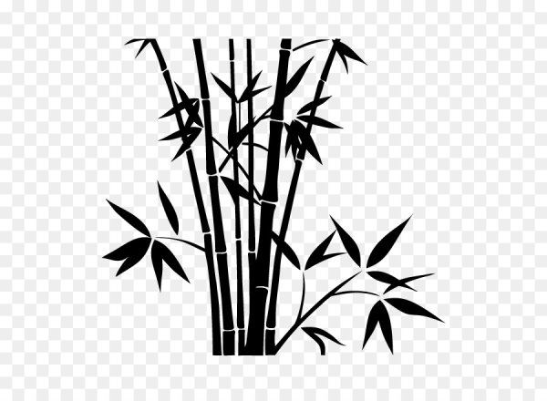Бамбук рисунок