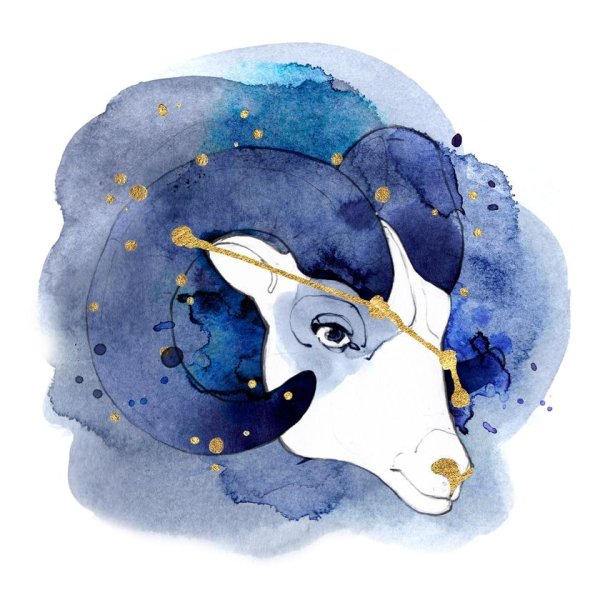 Козерог акварель