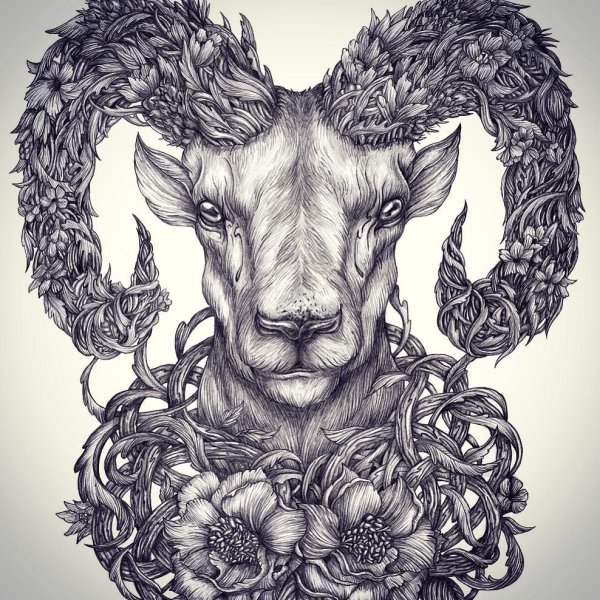 Татуировка Овен эскизы