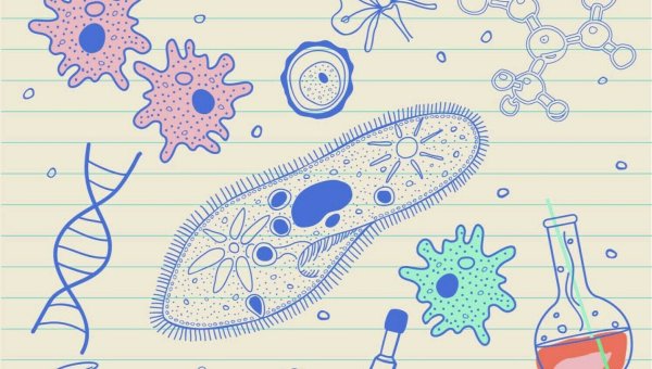 Фон для презентации по биологии