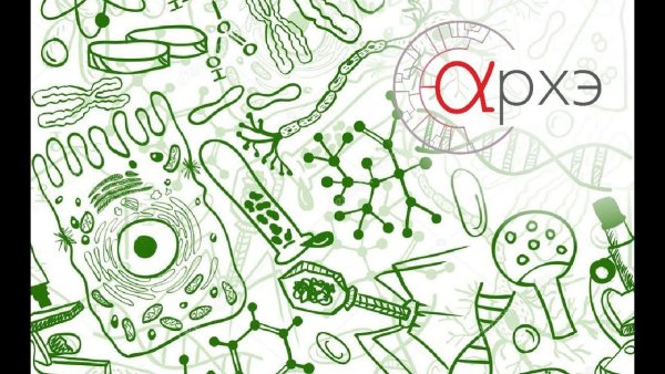 Рисование по биологии