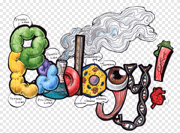 Биологические зарисовки