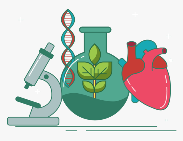 Химия и биология