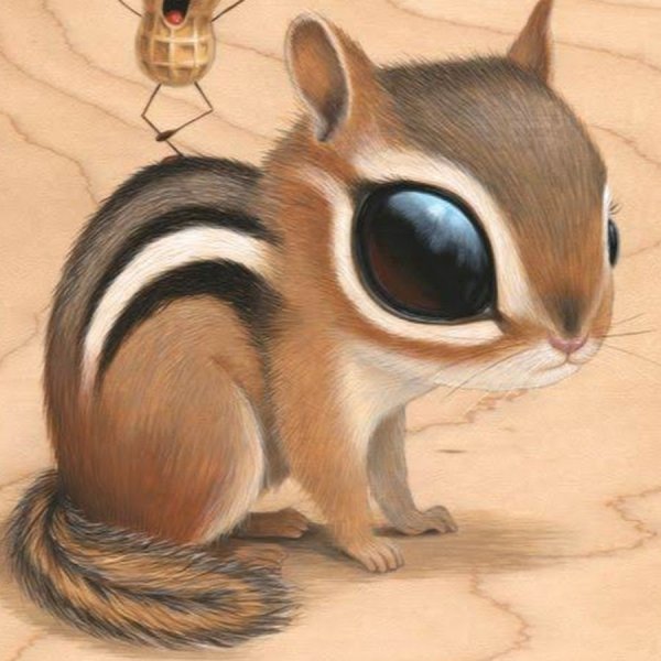 Бурундук рисунок