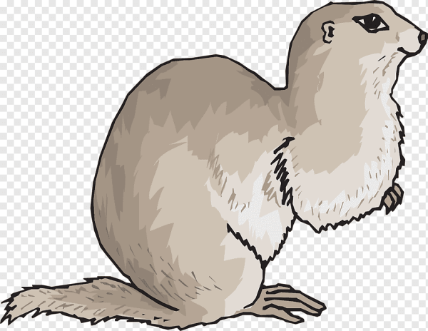 Норка рисунок для детей