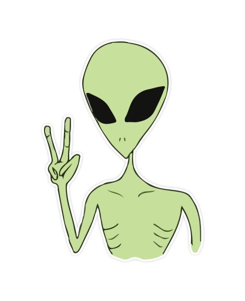 Инопришеленец флексит