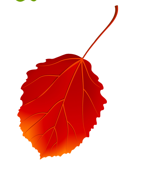 Листья осины, листья осины.