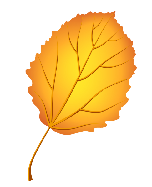 Осина раскраска