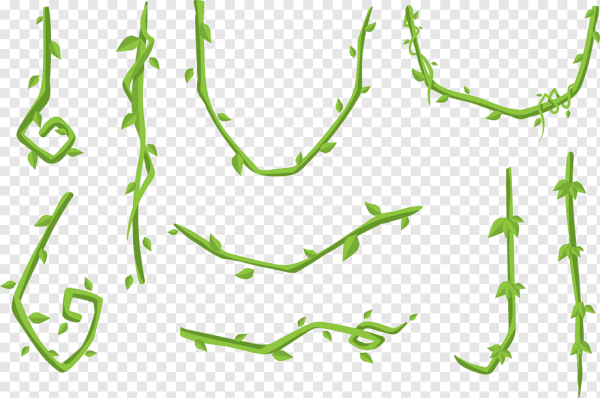 Лианы нарисованные