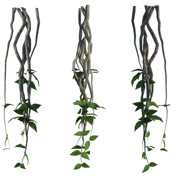 Лианы джунгивектор