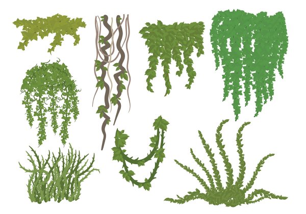 Водоросли орнамент