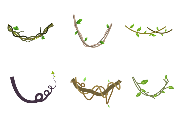 Лианы вектор