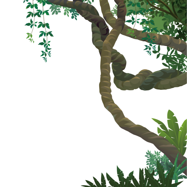 Лиана для детей