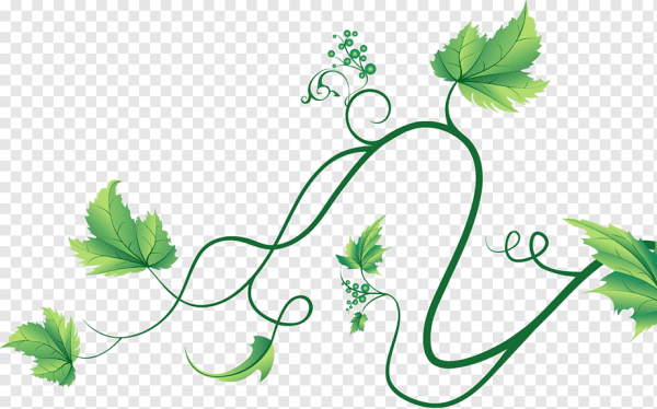 Зеленая лоза