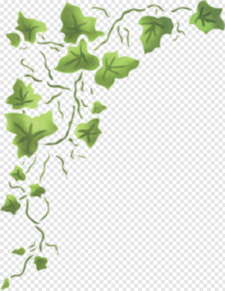 Лианы нарисованные