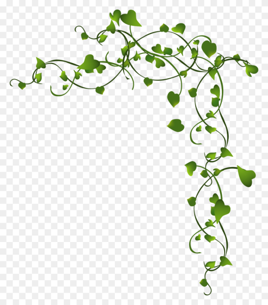 Зеленая Лиана на белом фоне