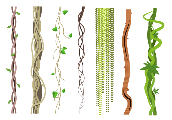 Переплетенные лианы