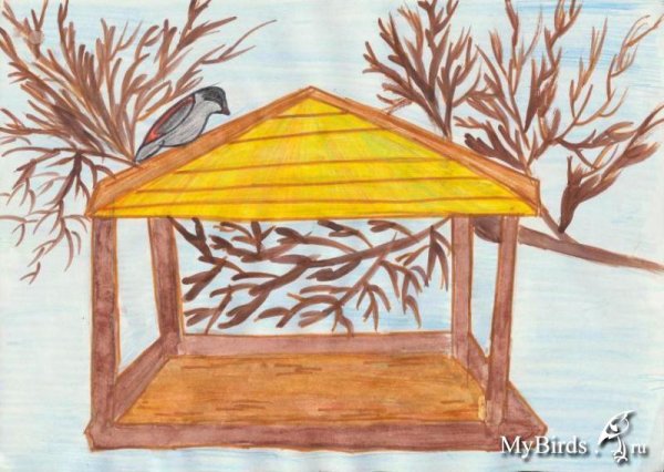 Кормушка рисунок