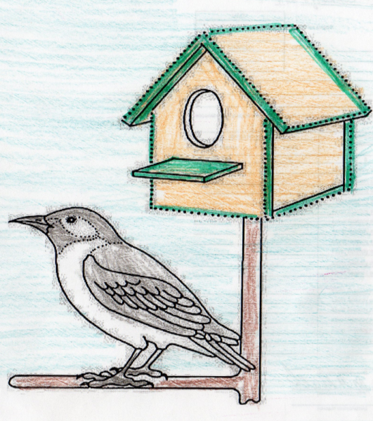 Рисование кормушка