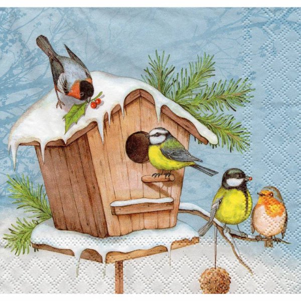 Зимний скворечник