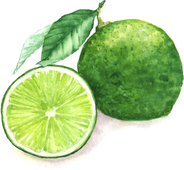 Лимон акварелью