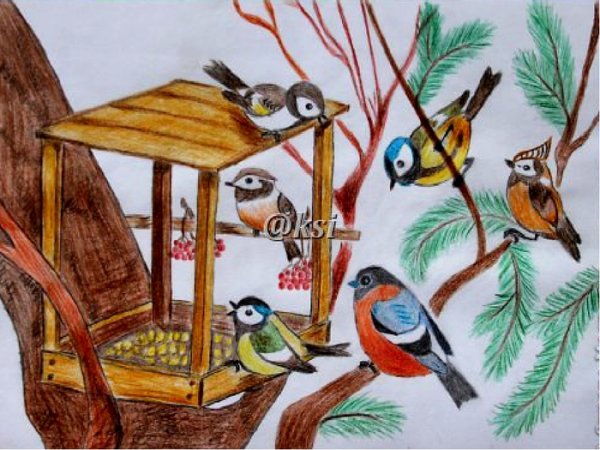 Рисование птицы на кормушке