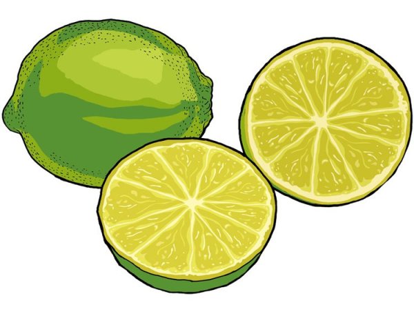 Лайм нарисованный