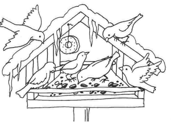 Кормушка для птиц раскраска